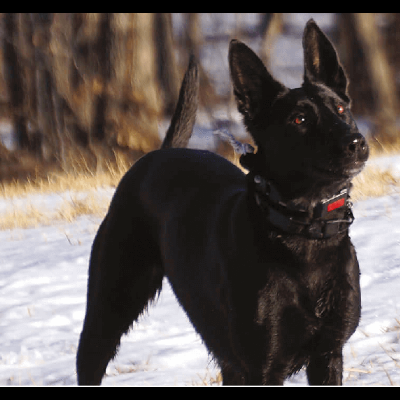 Acessórios electrónicos