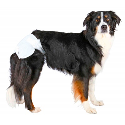 Fraldas Descartáveis para Cadelas