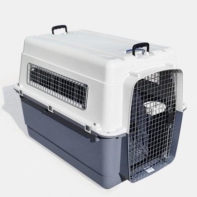 Transportadora Bench 100x67x76 cinza