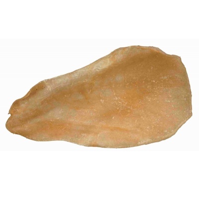 Orelhas de Vaca dessecadas