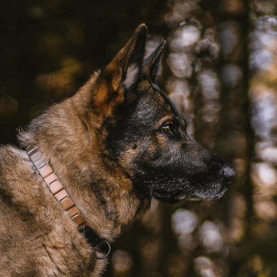 Sprenger Colar Neck-Tech Fun Inox Preto Fosco