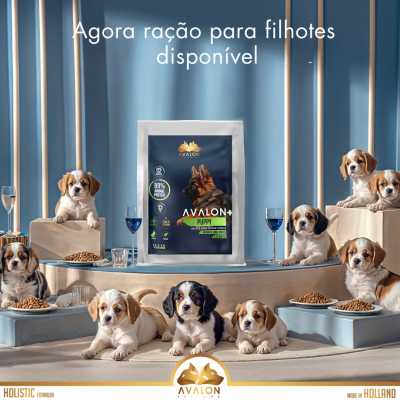 Avalon Puppy comida seca saco 12,5Kg