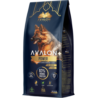 Avalon Power 20kg