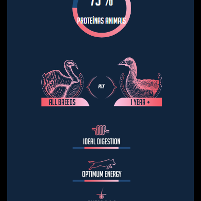 Avalon Comida Húmida de pato e perú para cães adultos  (lata 410g)