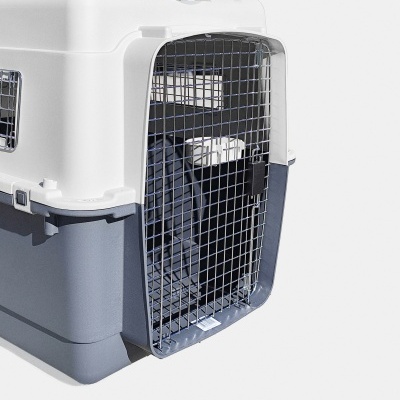 Transportadora Bench 100x67x76 cinza