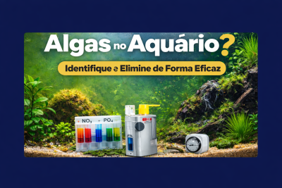 Algas no Aquário: Tipos, Causas e Como Eliminar de Forma Definitiva