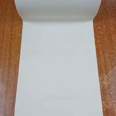 Tecido lona - especial cadeiras e espreguiçadeiras - 0,42 m