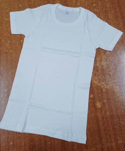 Camisola interior homem c/manga curta  decote redondo - ref 505CF - MC