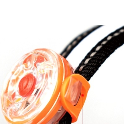 Led Segurança para animal