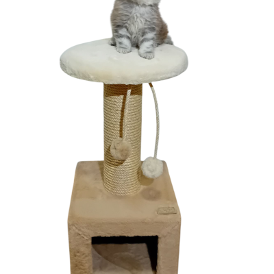 Arranhador Caixa Baixo