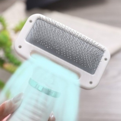 Escova Secadora 2 em 1