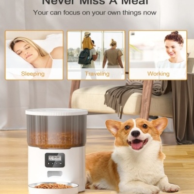 Comedouro Automático