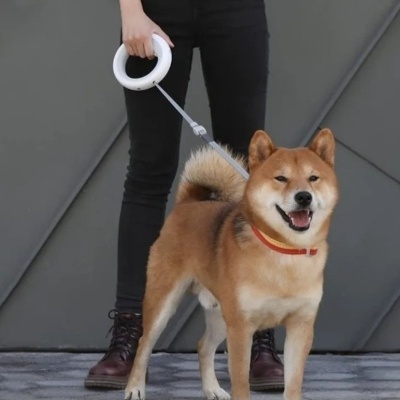 Trela RetrátiL Led Recarregável