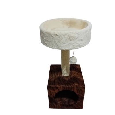 Arranhador salamanca