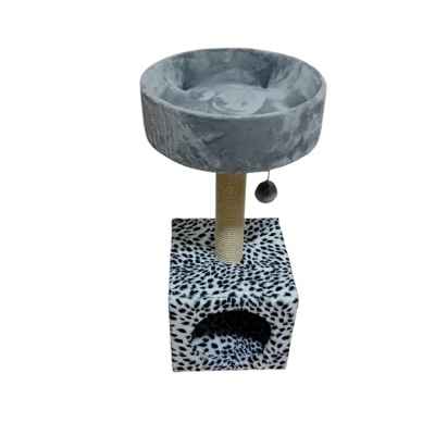 Arranhador salamanca