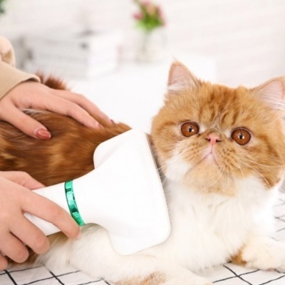 Escova Secadora 2 em 1