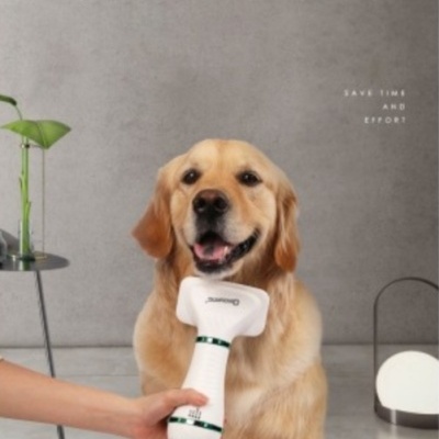 Escova Secadora 2 em 1