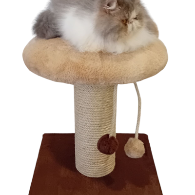 Arranhador topo redondo