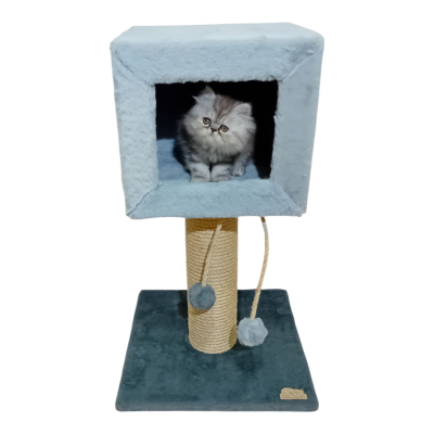 Arranhador  Caixa.Cima