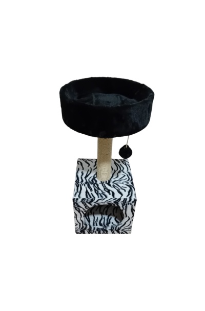 Arranhador salamanca