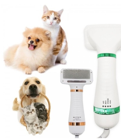 Escova Secadora 2 em 1