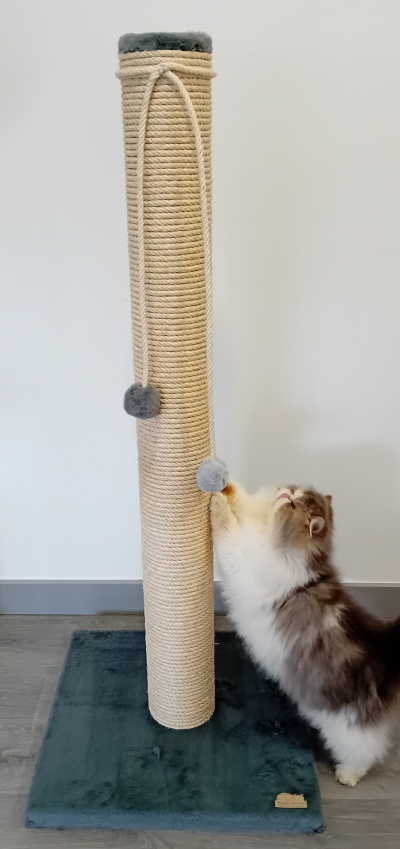 Arranhador poste alto 1,20mt