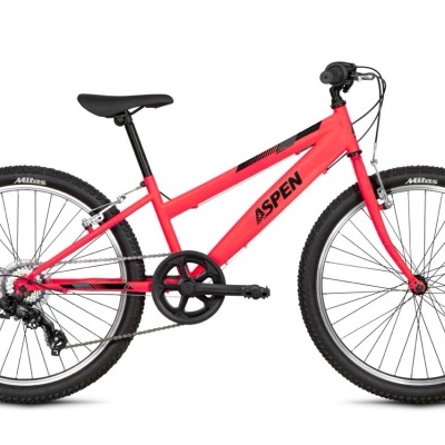 Bicicleta Aspen roda 24