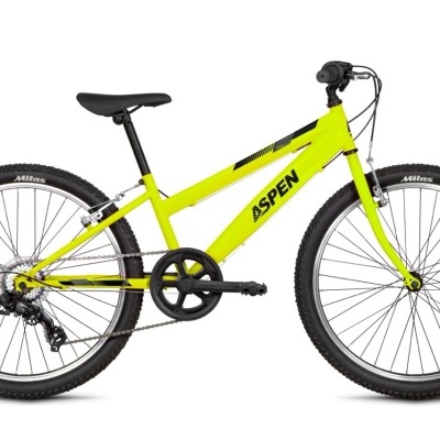 Bicicleta Aspen roda 24