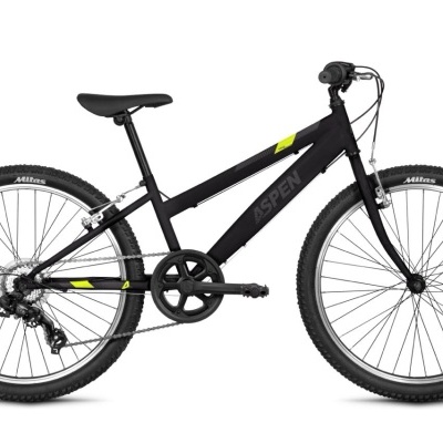 Bicicleta Aspen roda 24