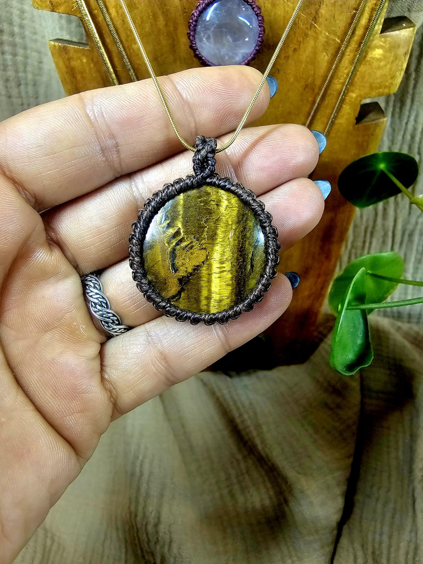 Coleção “Luz da Terra” Coleção “Luz da Terra”