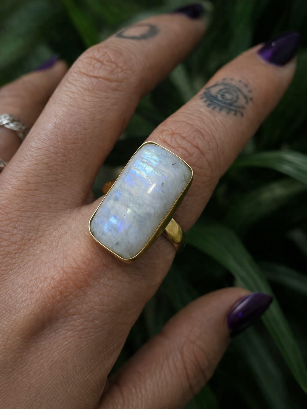 Luz do Véu Luz do Véu