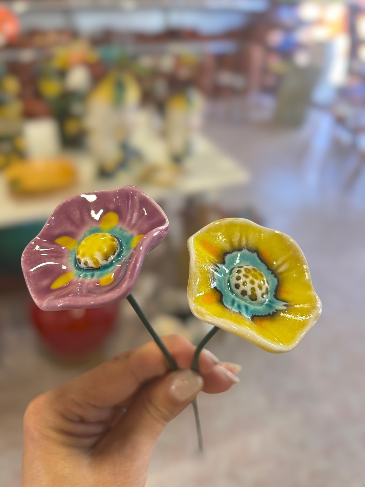 2&#x20;Florinha&#x20;nova