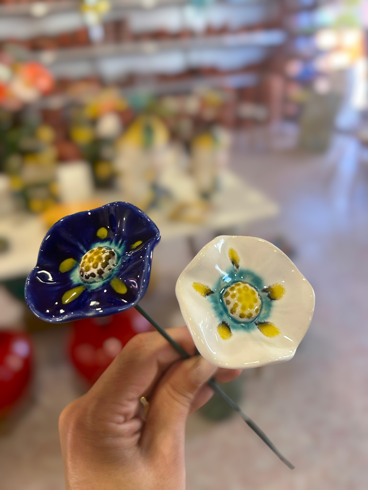 2&#x20;Florinha&#x20;nova