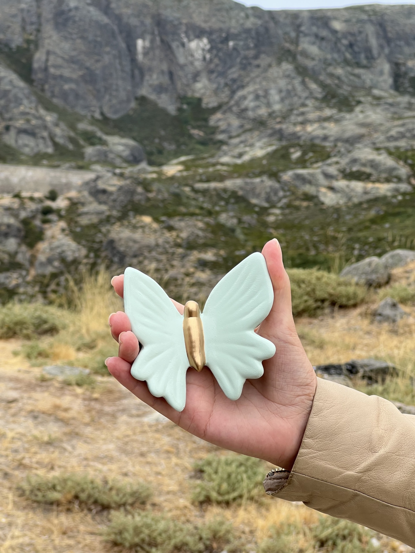 Borboleta&#x20;nova