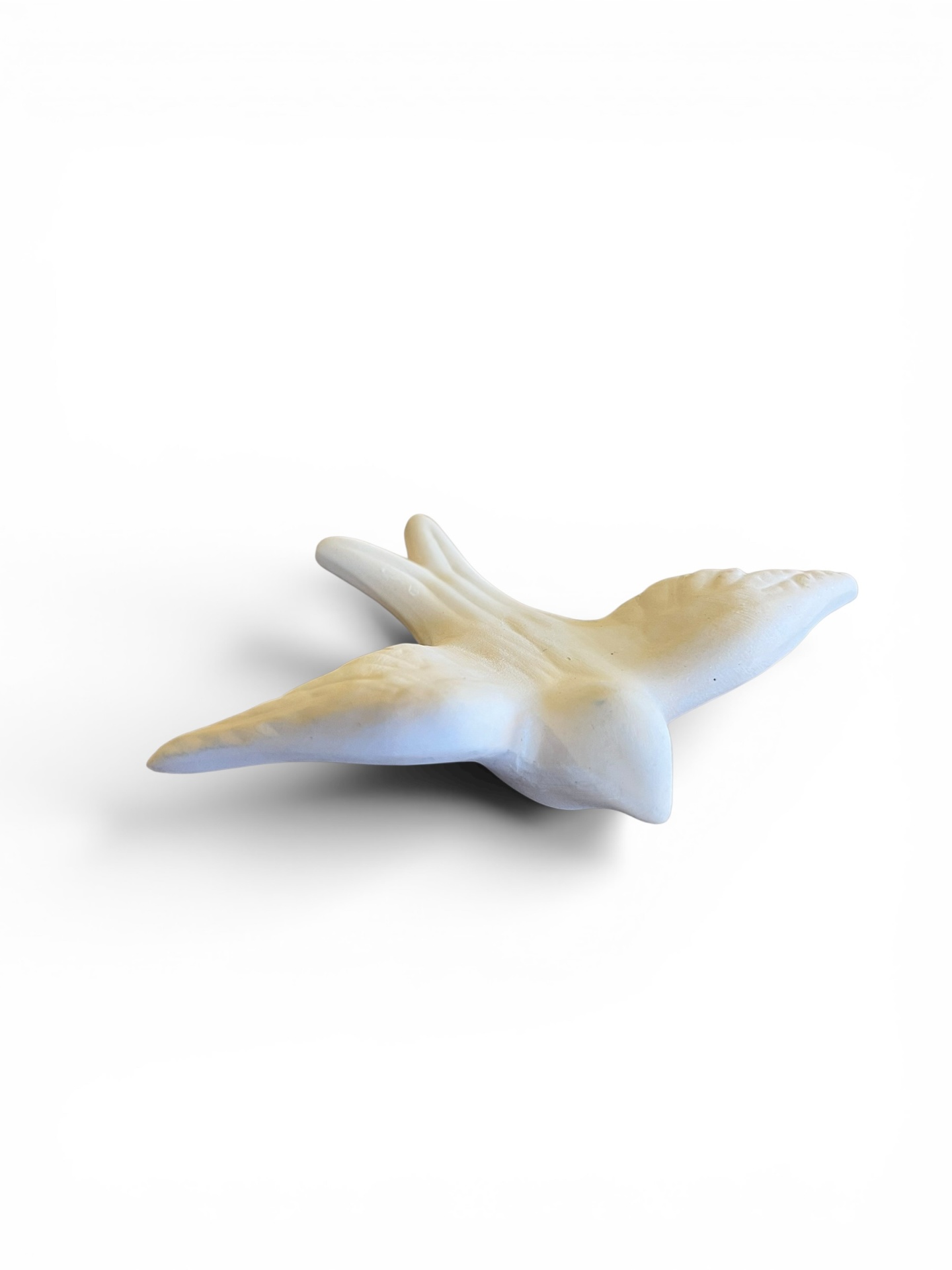 Andorinha&#x20;m&#x00E9;dia&#x20;para&#x20;pintar