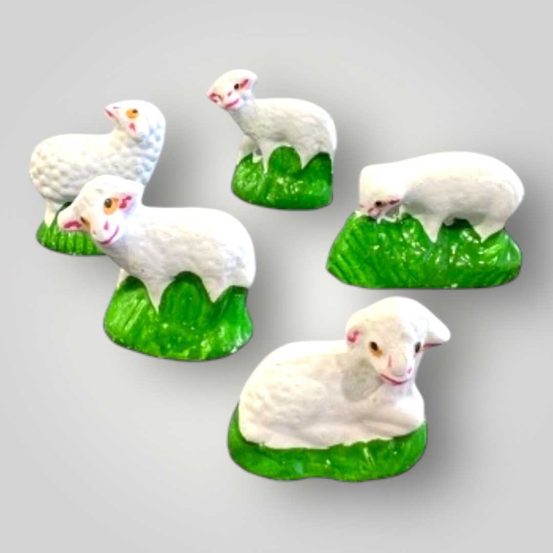 5&#x20;-&#x20;ovelhas&#x20;eco