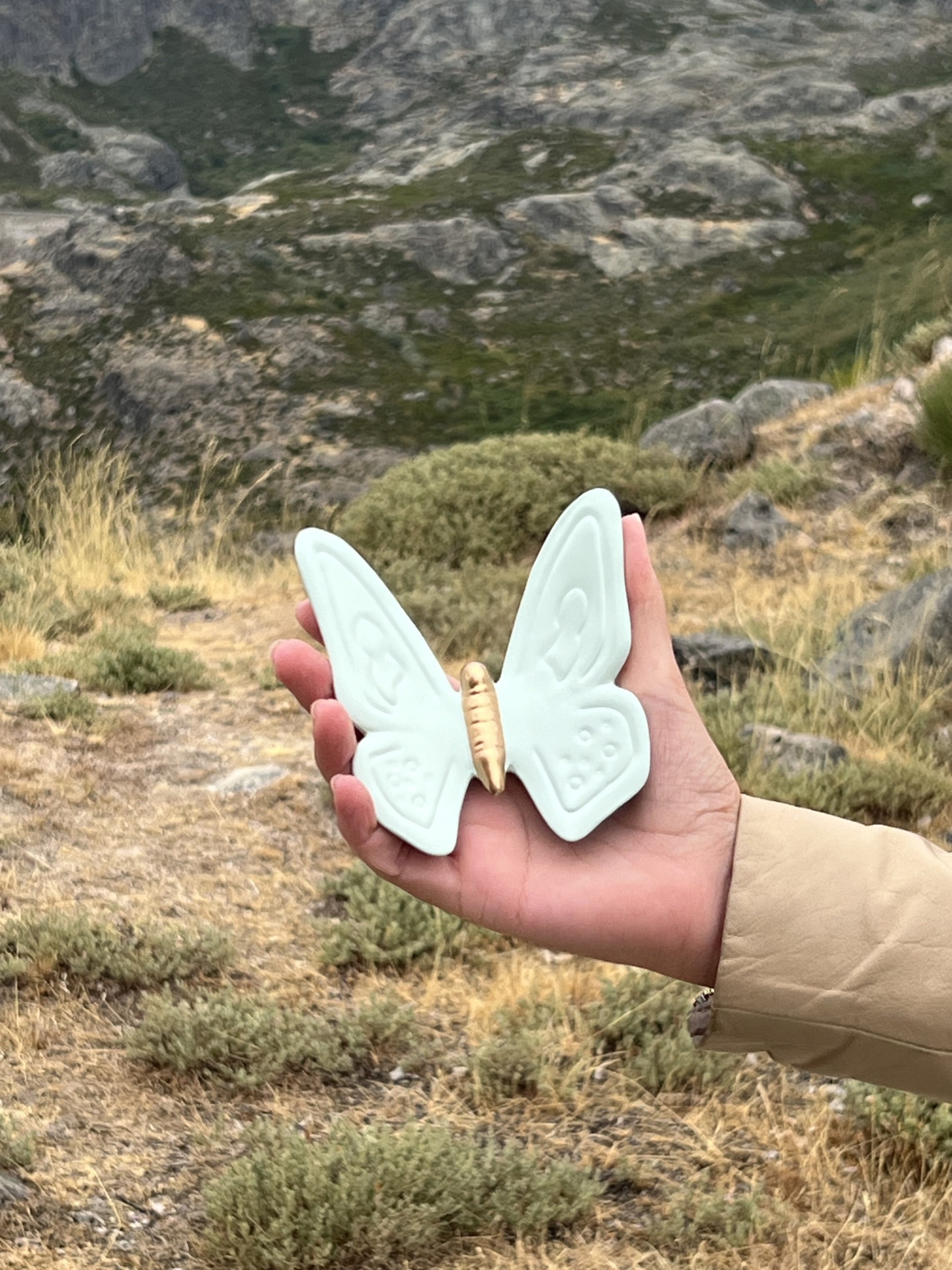 Borboleta&#x20;nova