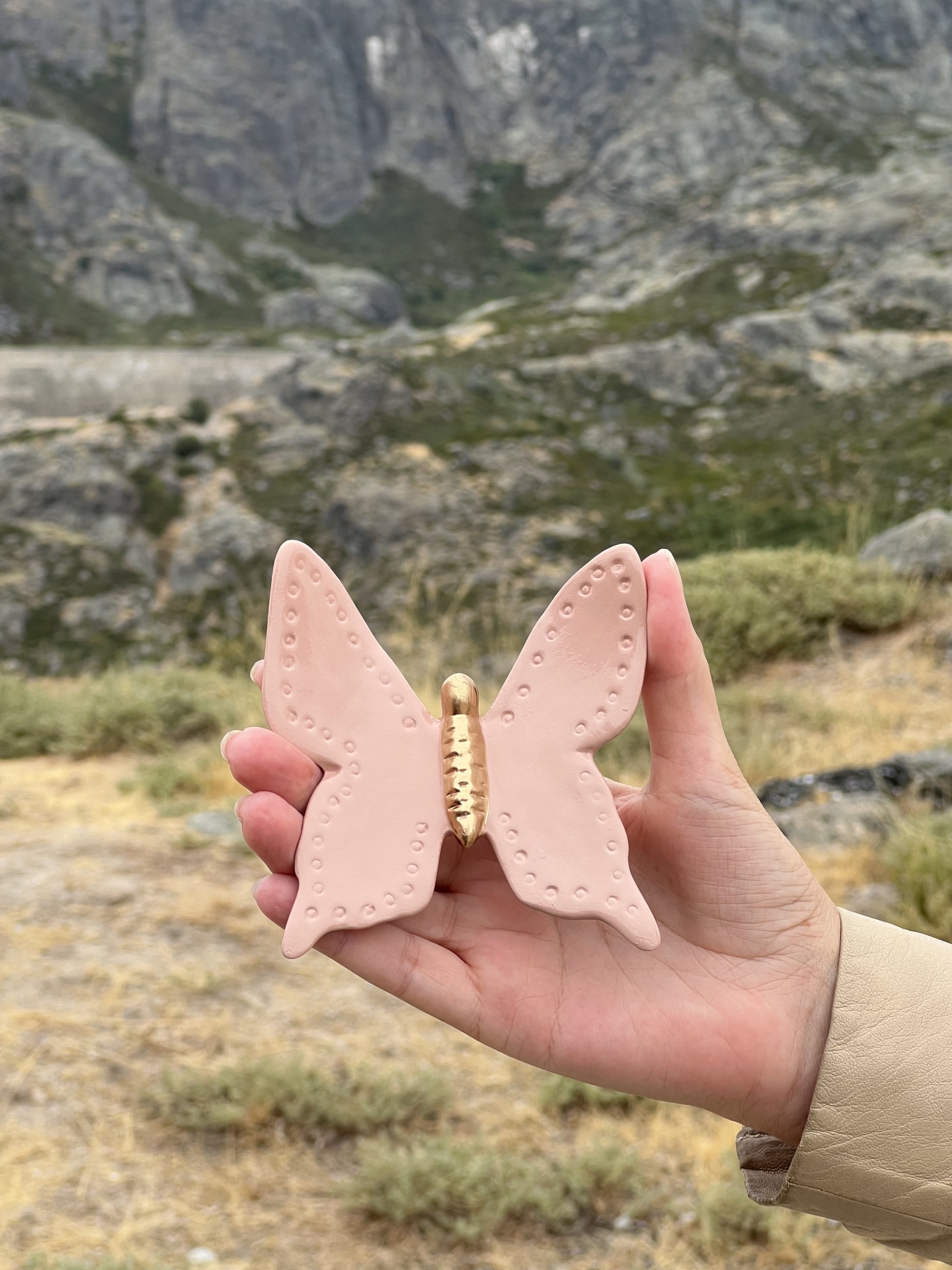 Borboleta&#x20;nova