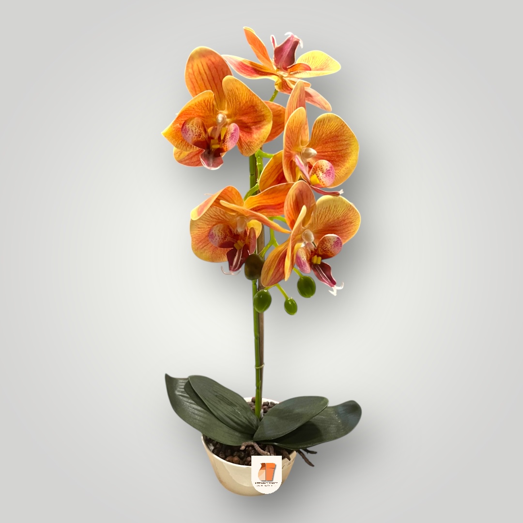 Orquídea com vaso