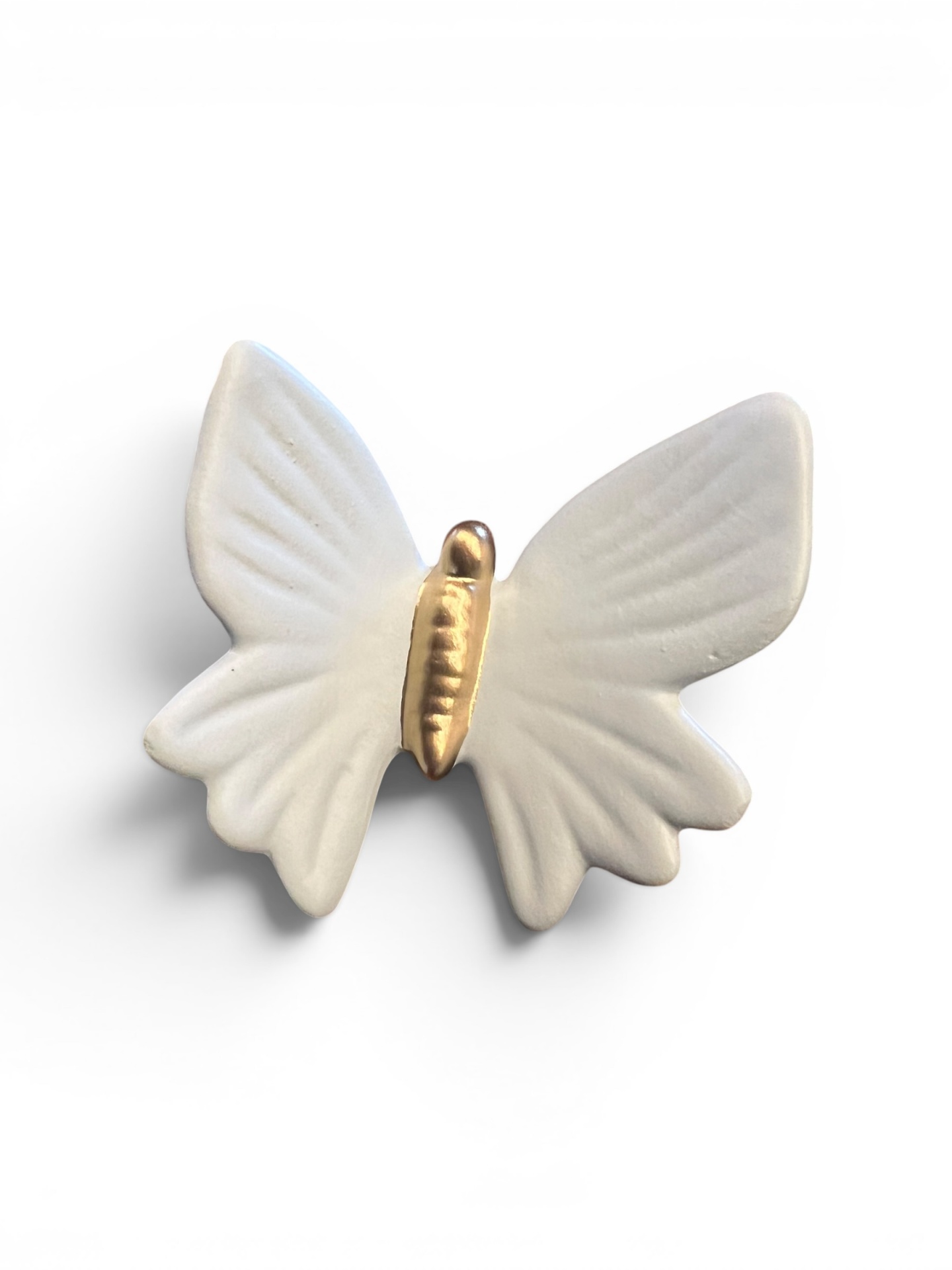Borboleta&#x20;nova