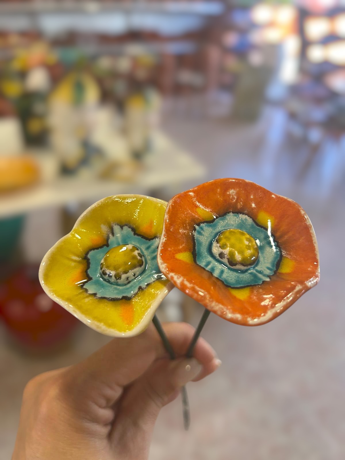 2&#x20;Florinha&#x20;nova