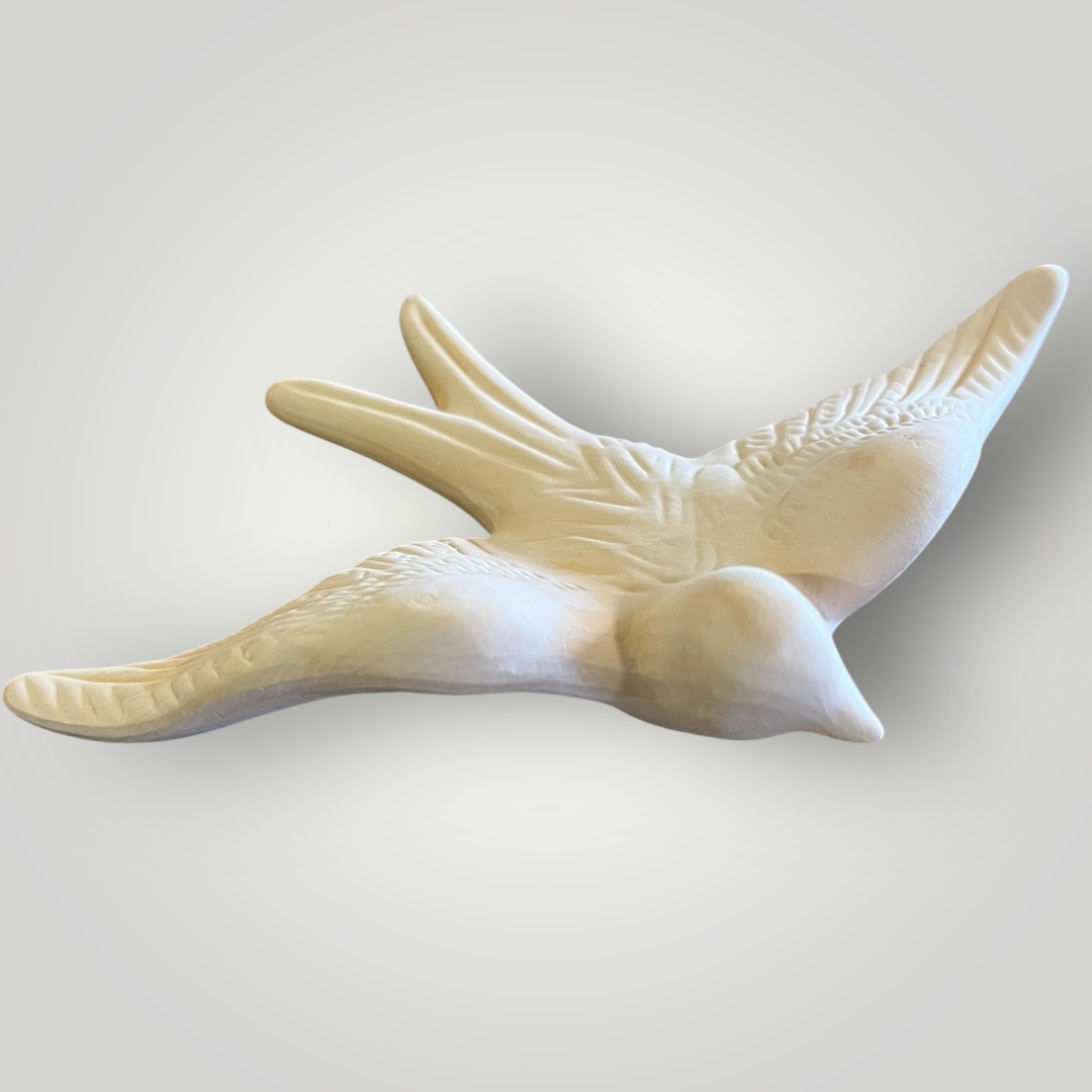 Andorinha grande para pintar