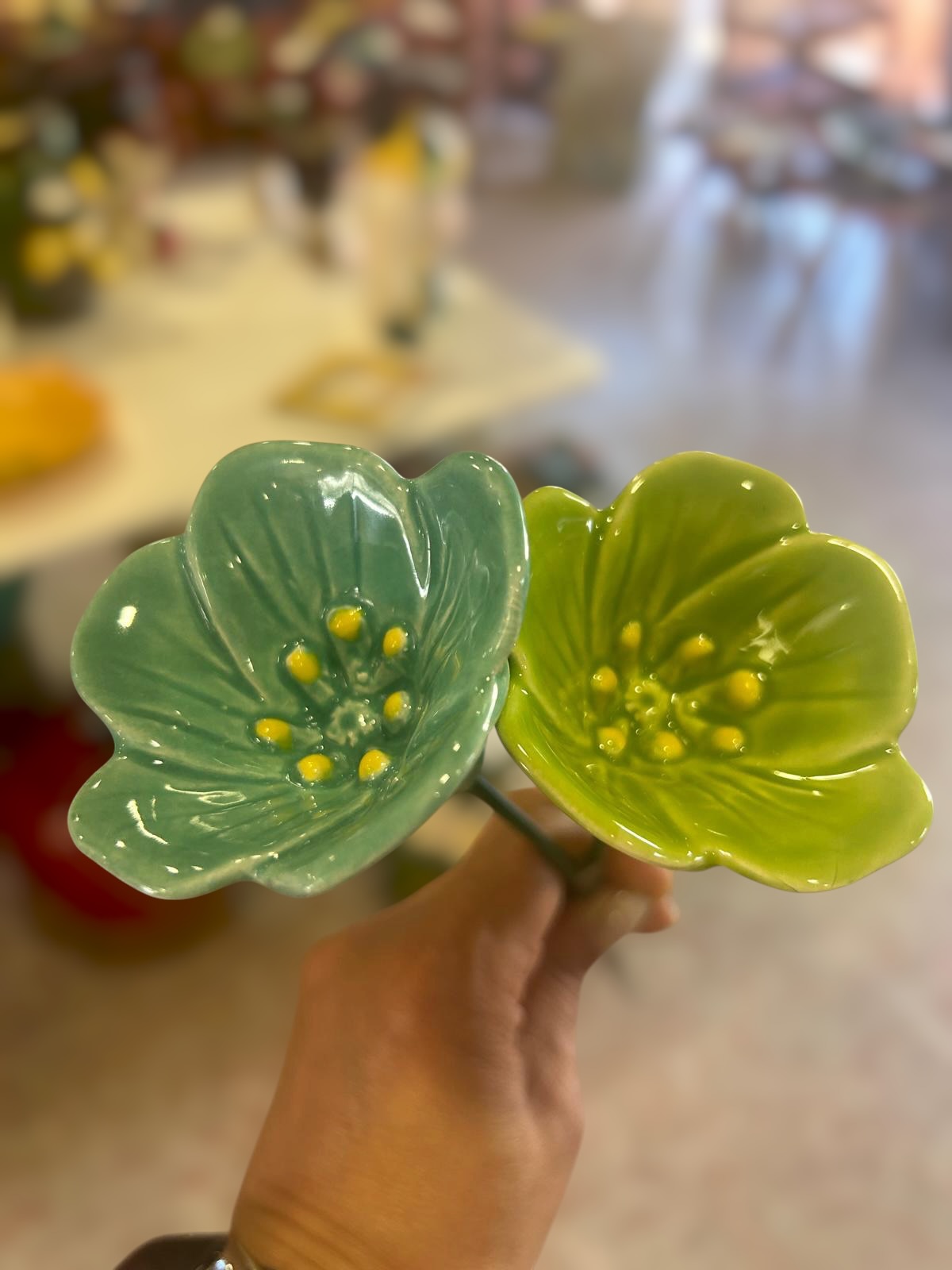 2&#x20;Flor&#x20;nova