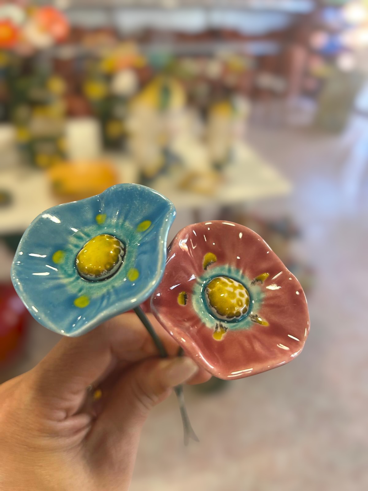 2&#x20;Florinha&#x20;nova