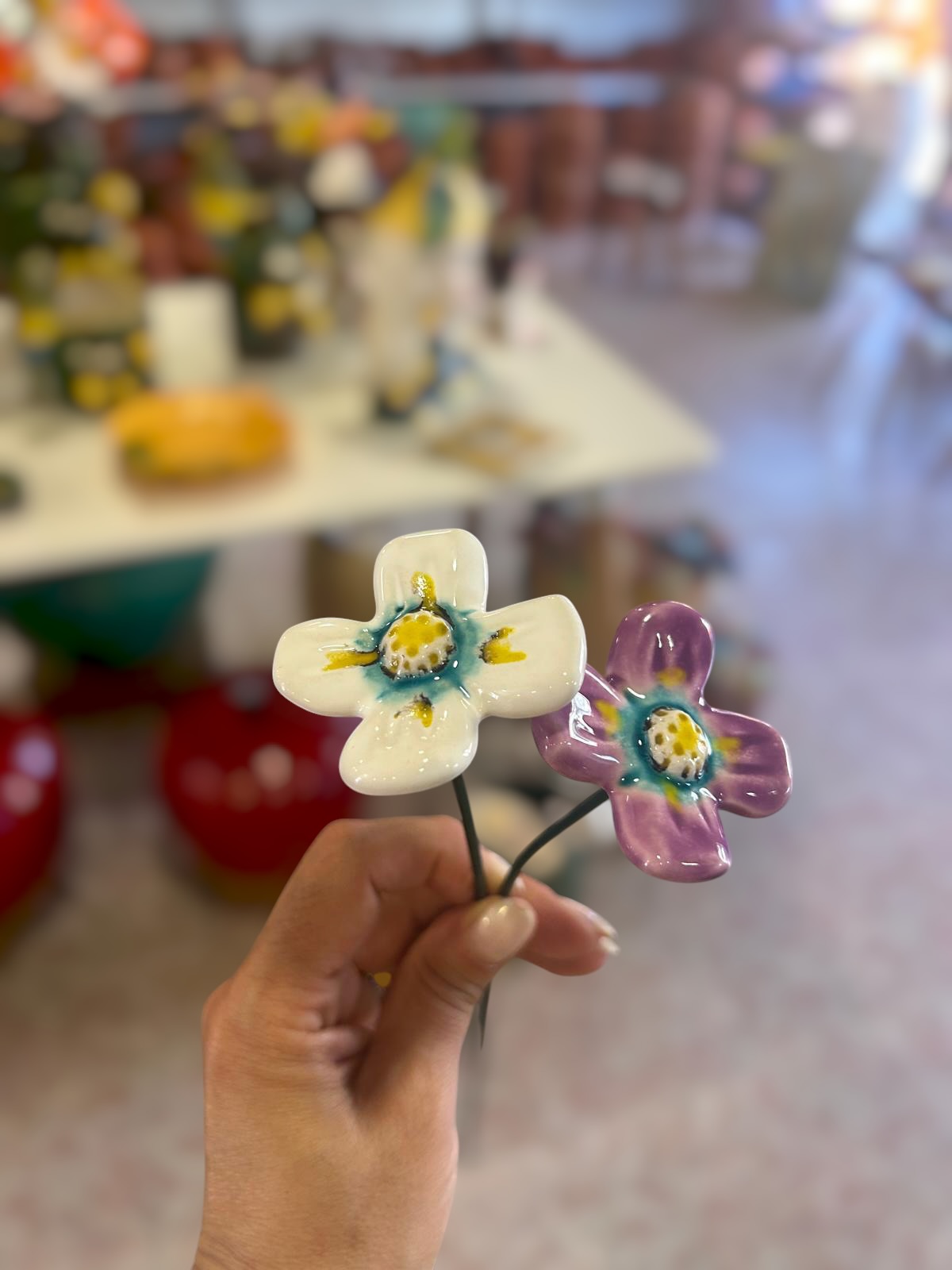 2&#x20;Florinha&#x20;nova