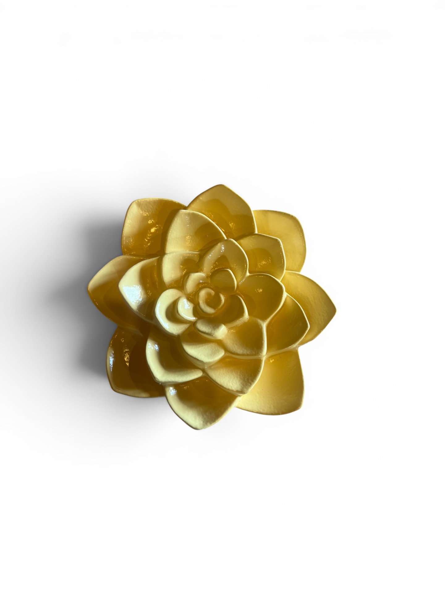 Flor&#x20;parede&#x20;pequena