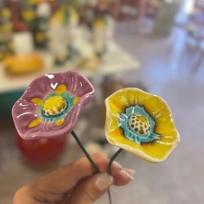 2 Florinha nova