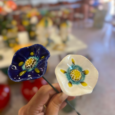 2 Florinha nova