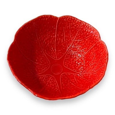 Saladeira&#x20;couve