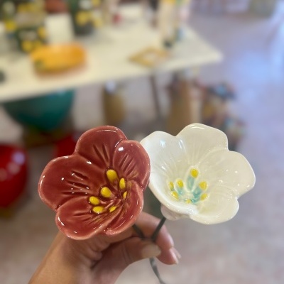 2 Flor nova